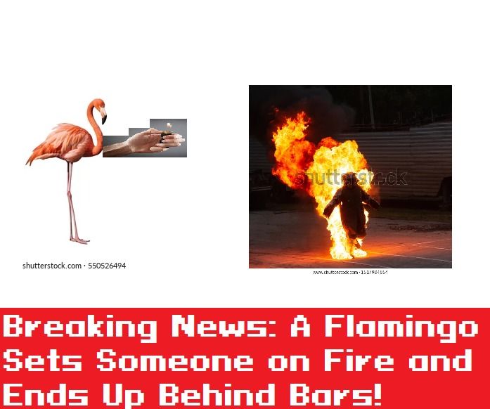 Breaking News: A Flamingo Sets Someone on Fire and Ends Up Behind Bars!