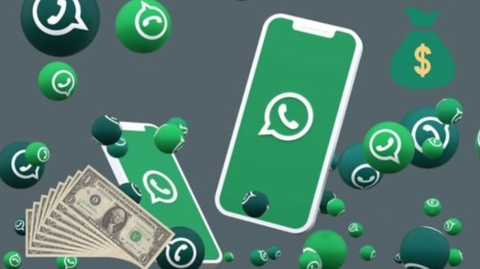Whatsapp premia con 10000 USD a los grupos con mayor número de encuestas